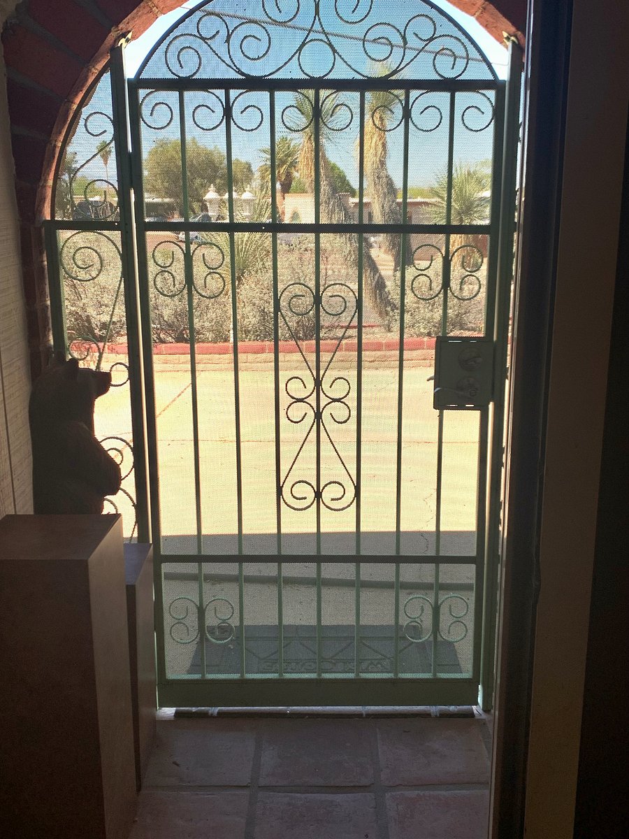 Security screen door
