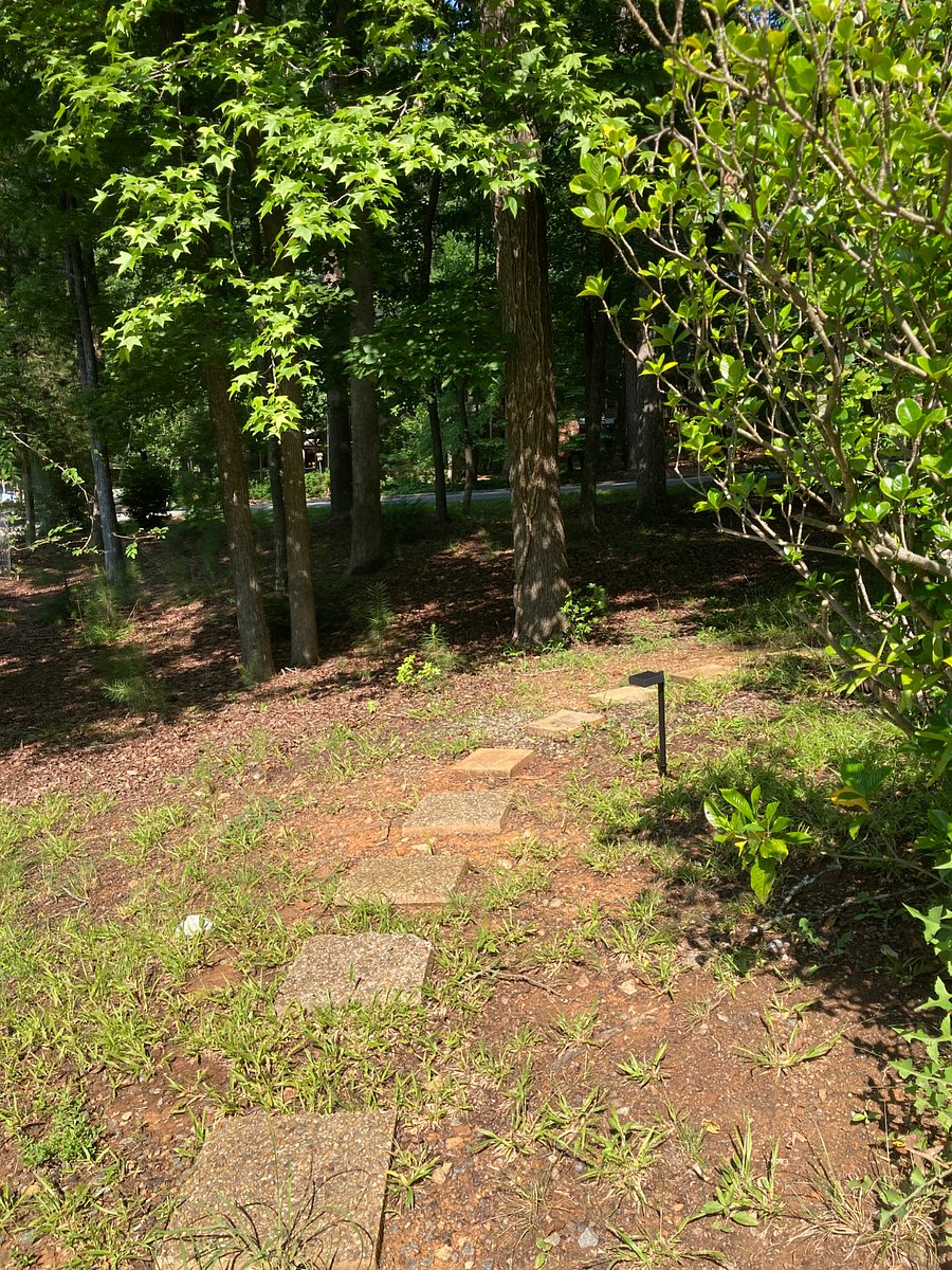 Solar lights and a motion sensor flood light sheds light on the pathway to driveway.