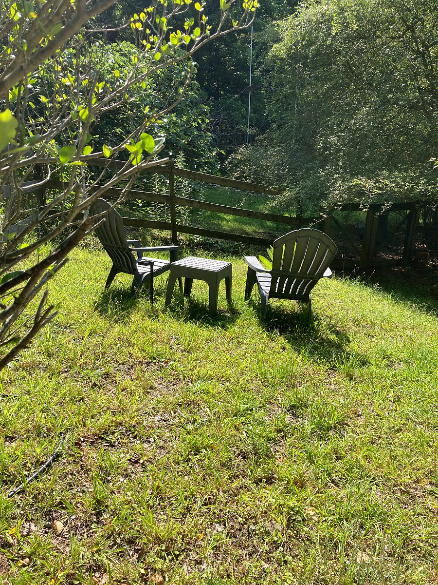 Enjoy the quiet and serenity of the garden.