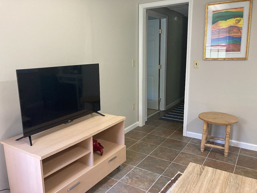 Den with Roku TV. Stream your favorites!