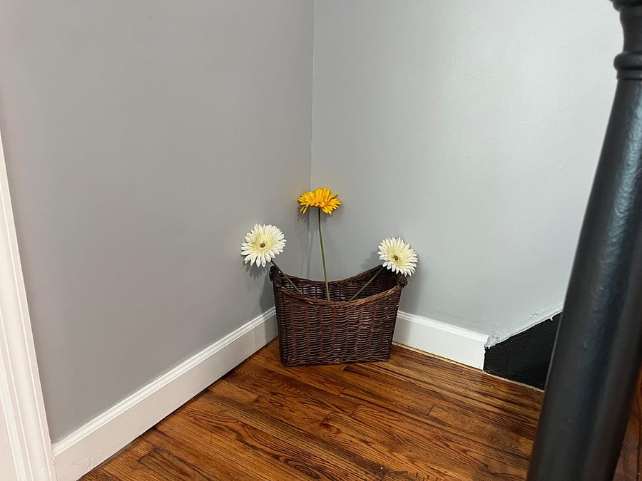 Furnished Finder property 865261_1 photo 22