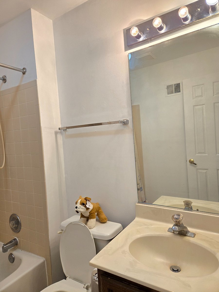 bathroom bathtub, toilet and shower