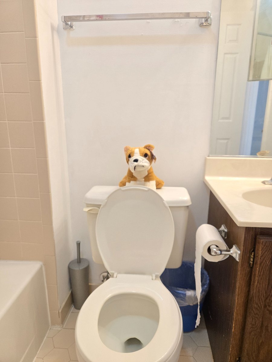 bathroom toilet