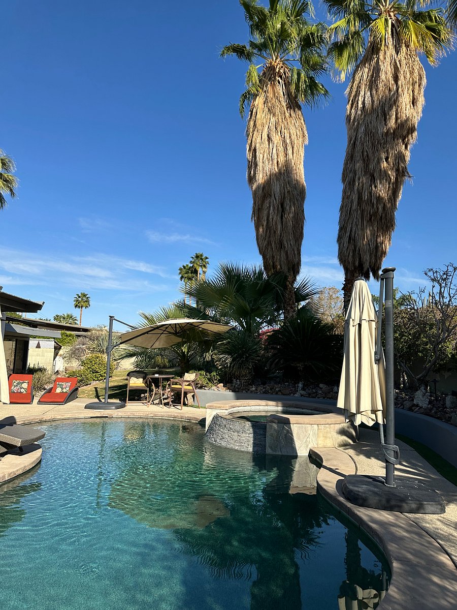 Open living great room concept for indoor and outdoor living and entertainment. This home is three bedroom two bath home. Separate and private yard including pool and spa and outdoor tv with Sonos surround.