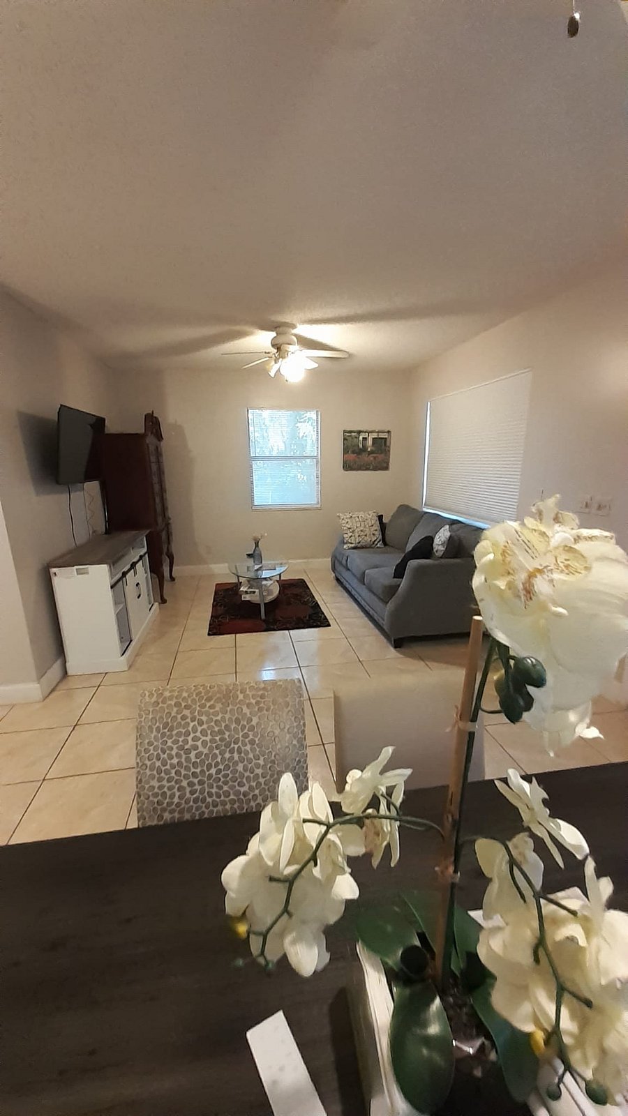 Furnished Finder property 865412_1 photo 3
