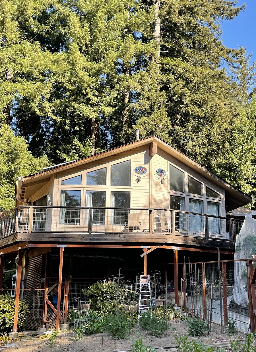 Sunny acreage with hiking trails