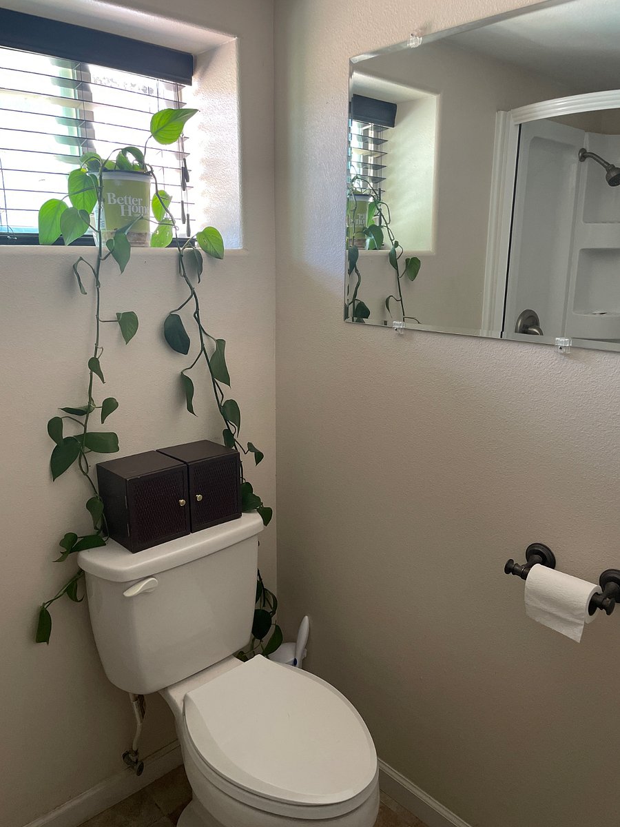 Furnished Finder property 865598_1 photo 12