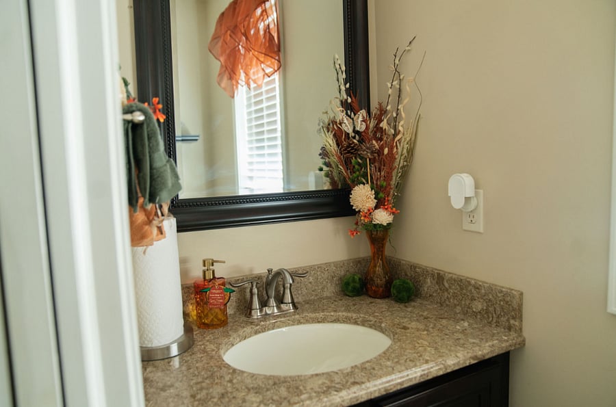 Furnished Finder property 865660_1 photo 20
