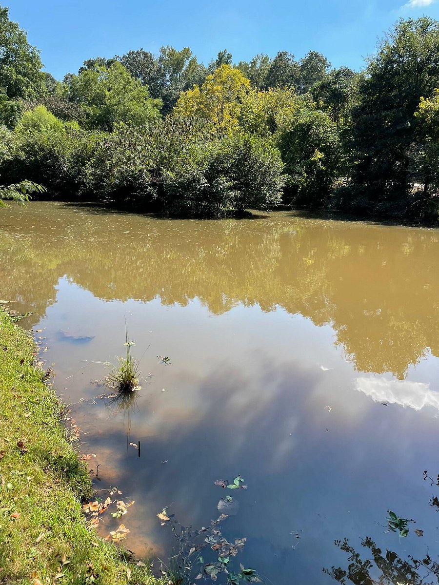 Pond next to the condo
