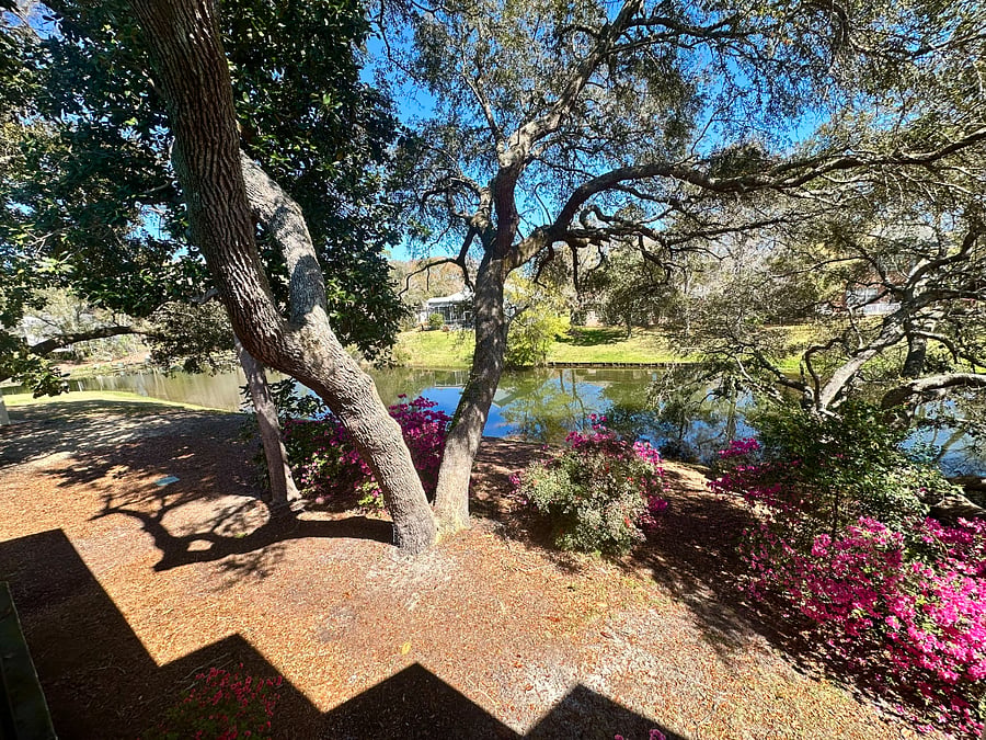 Furnished Finder property 865898_1 photo 4
