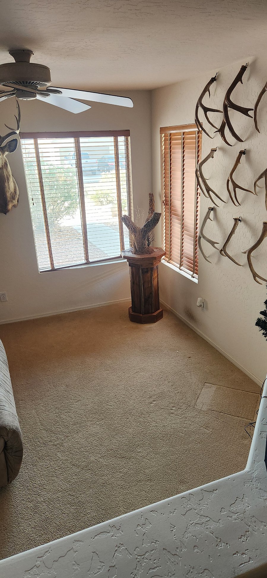 Furnished Finder property 865923_1 photo 13