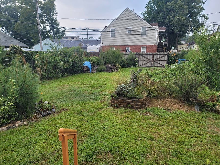 Fenced back yard! Your vegetable garden awaits.