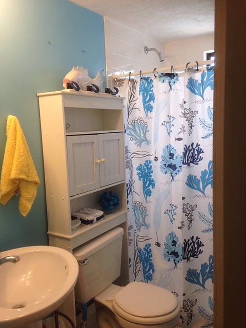 Hall Bathroom-shower (not a tub)