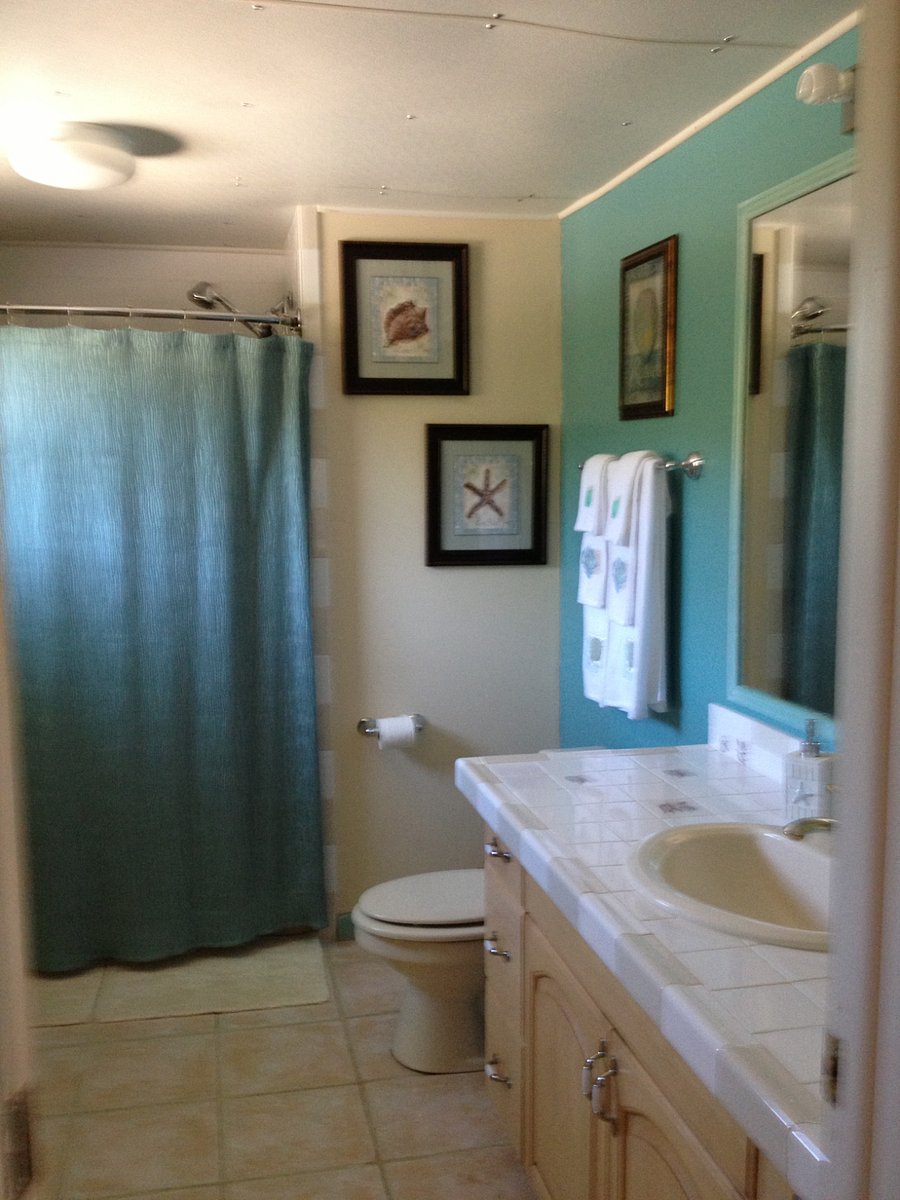 Master Bathroom-shower (not a tub)