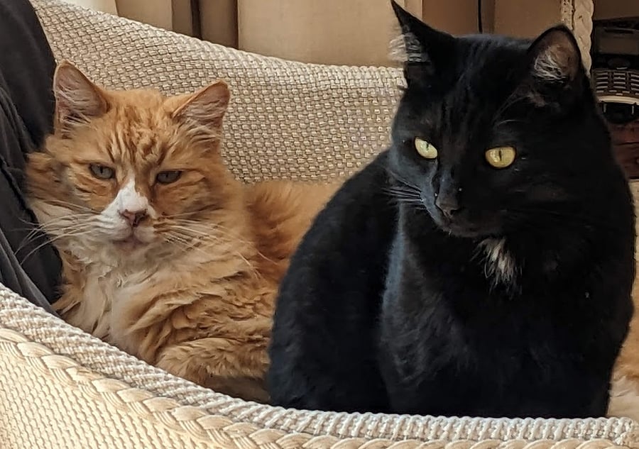 Teddy and Jack