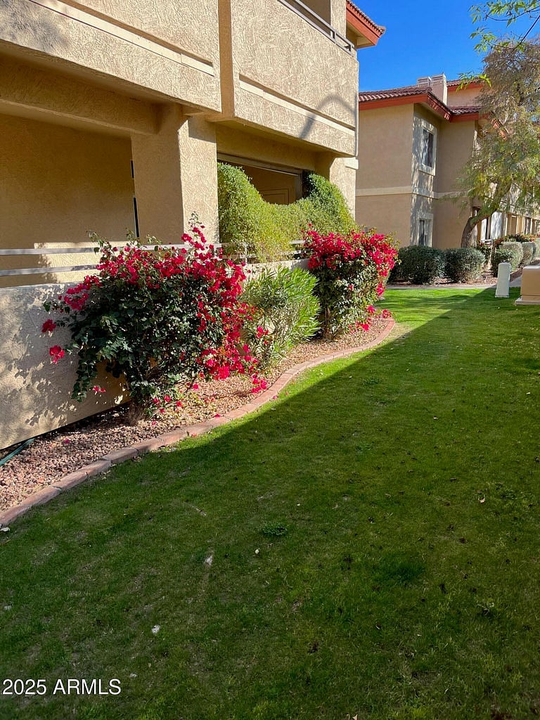 Patio looking in