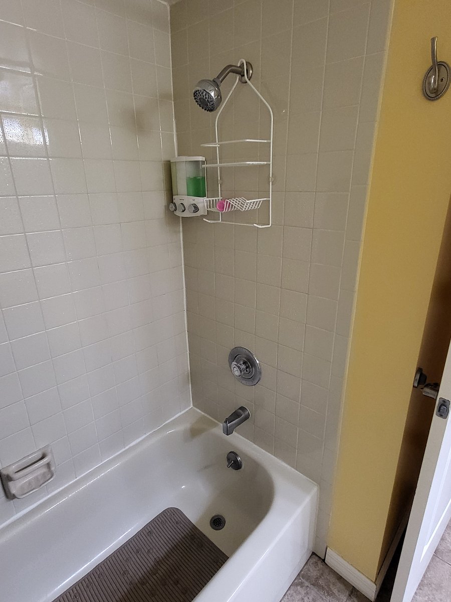 tub and shower in main bath