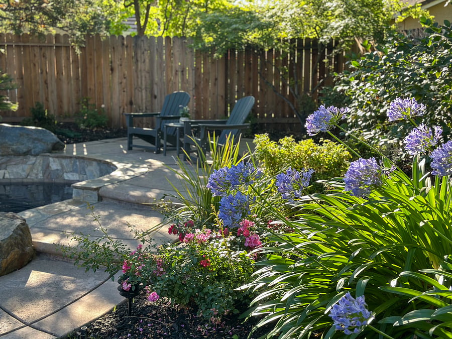 Furnished Finder property 866309_1 photo 41