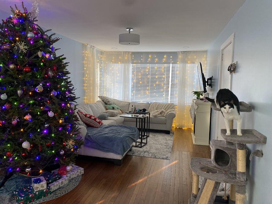 Furnished Finder property 866377_1 photo 3