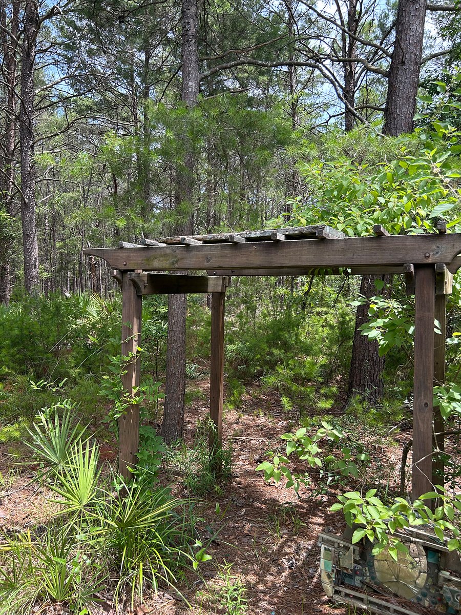Outside Gazebo private garden area