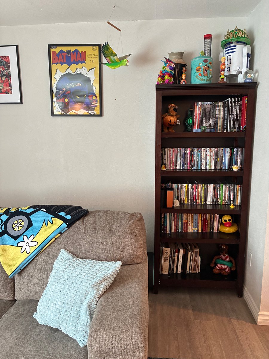 Bookshelf is stocked with books, comic books and DVDs, 