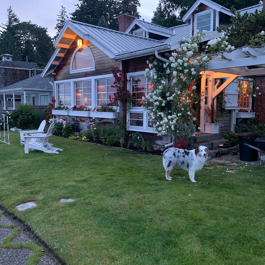 Summer Roses over Arbor at Front Door