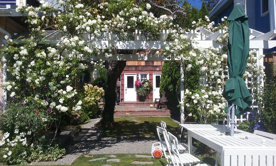 Sideyard View to Guest House (Cabana)