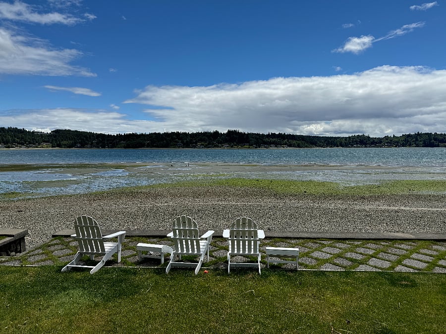 Minus Tide from Front Yard and Bulhead Sidewalk