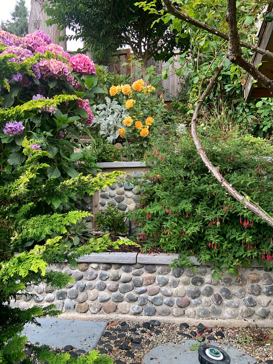Terraced Garden Back Yard