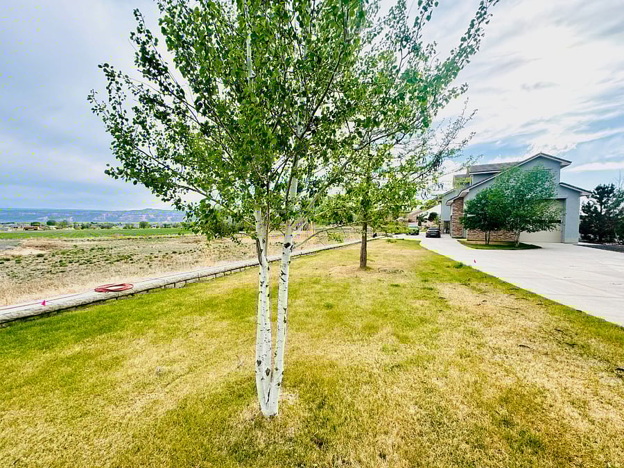 Furnished Finder property 866746_1 photo 3