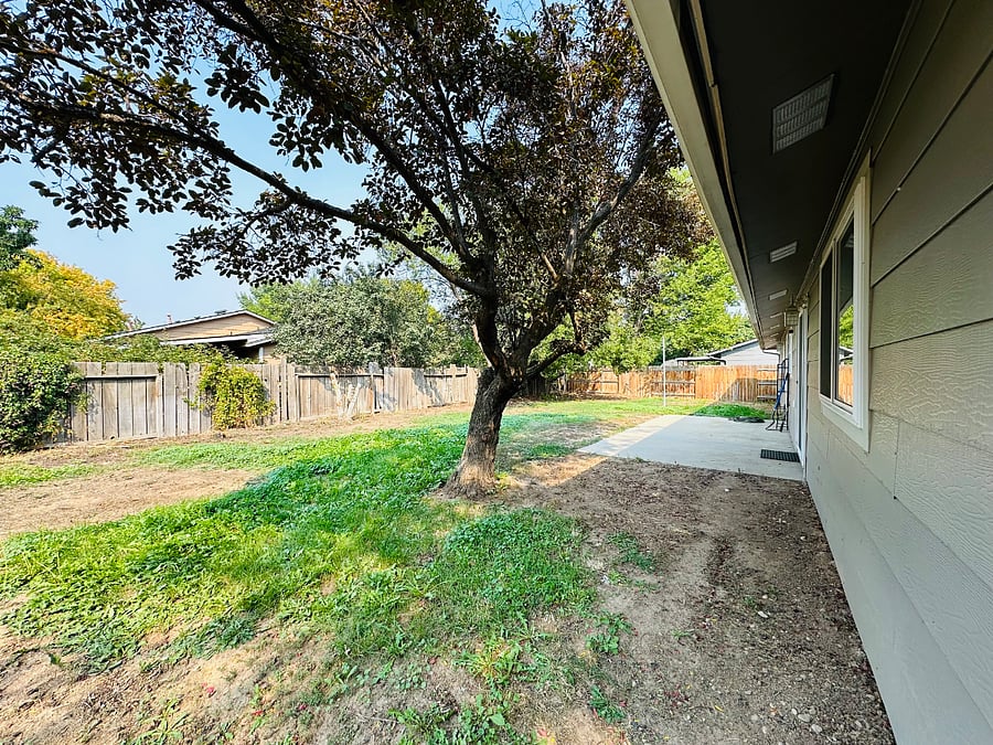 Large fenced in backyard with fruit trees