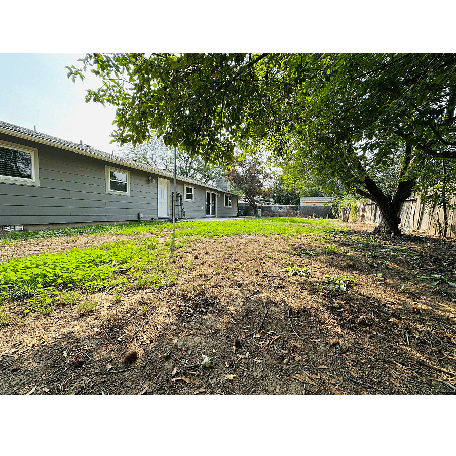 Large fenced in backyard