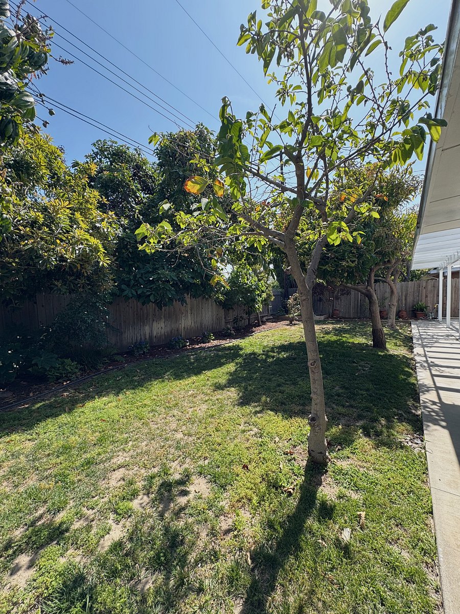 Furnished Finder property 866969_1 photo 25