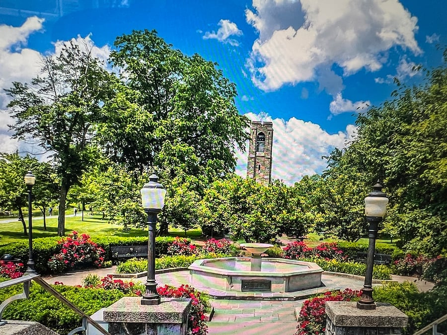 Furnished Finder property 867059_1 photo 29
