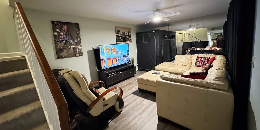 downstairs living room 65" smart tv