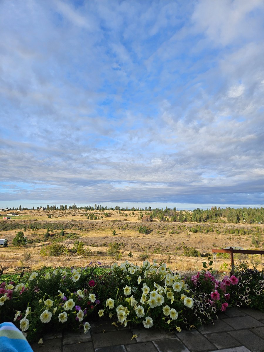 Furnished Finder property 867205_1 photo 7
