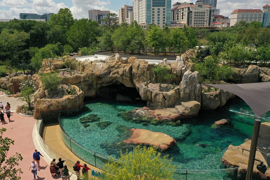12 minute drive from the Houston Zoo & Museum District