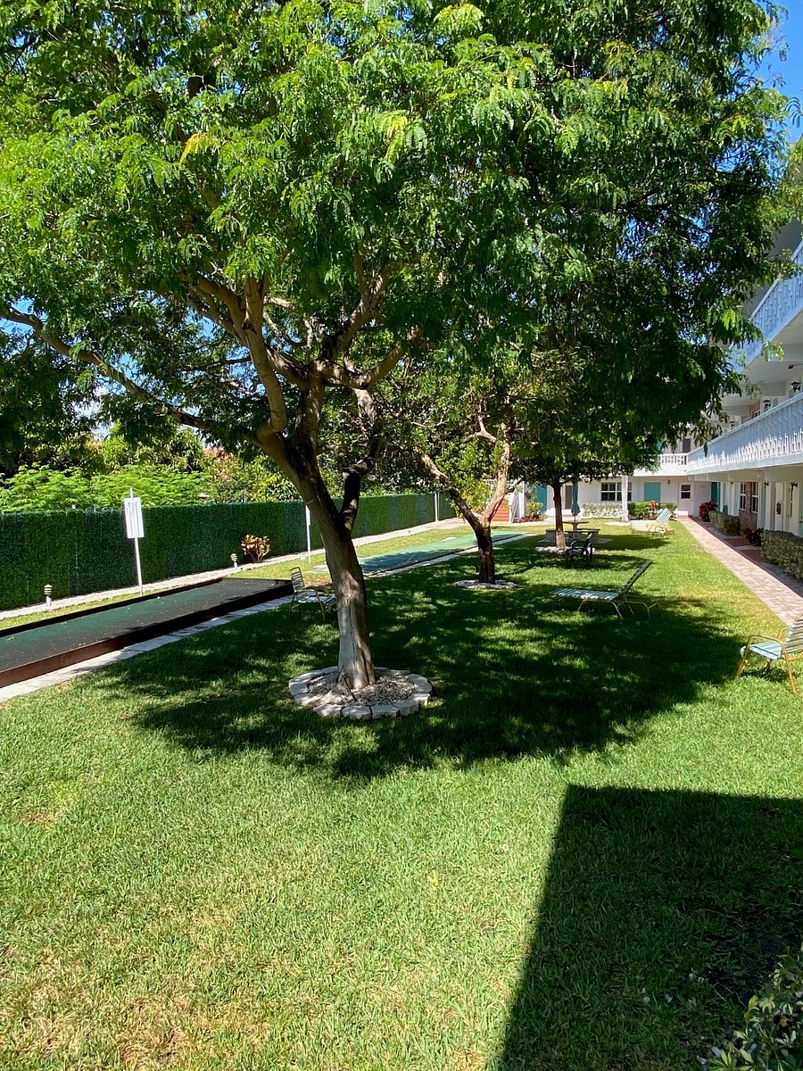 Furnished Finder property 867229_1 photo 14