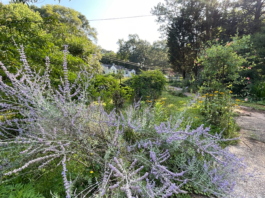 Front Garden