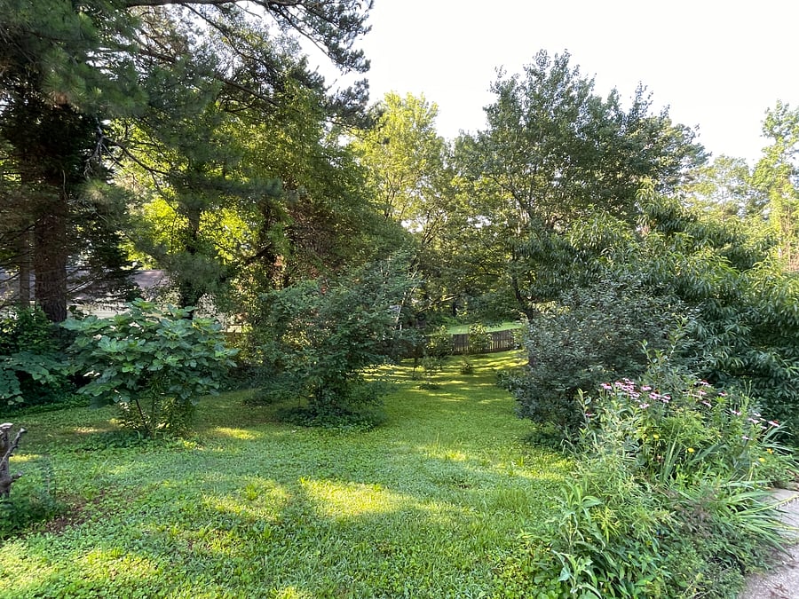 Fruit Tree Orchard