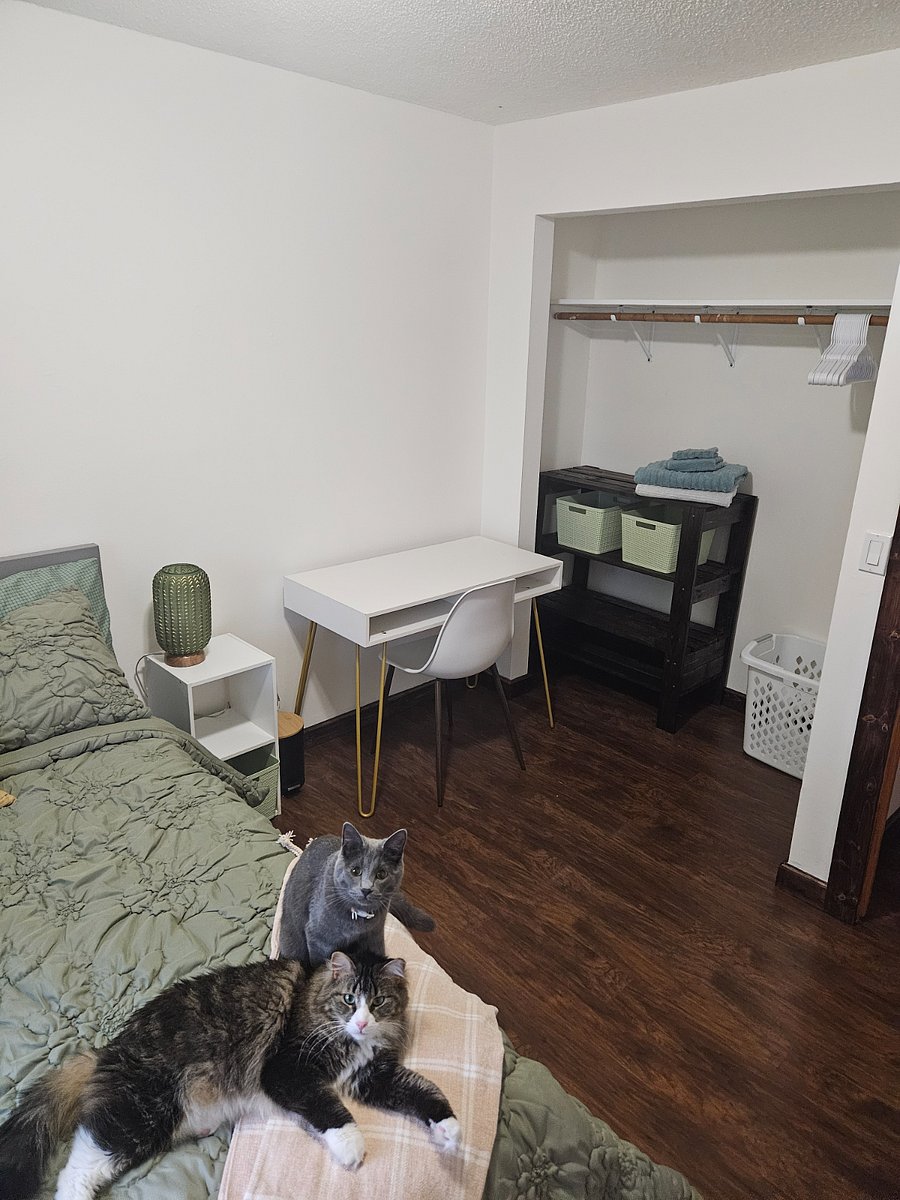 Furnished Finder property 867309_1 photo 3