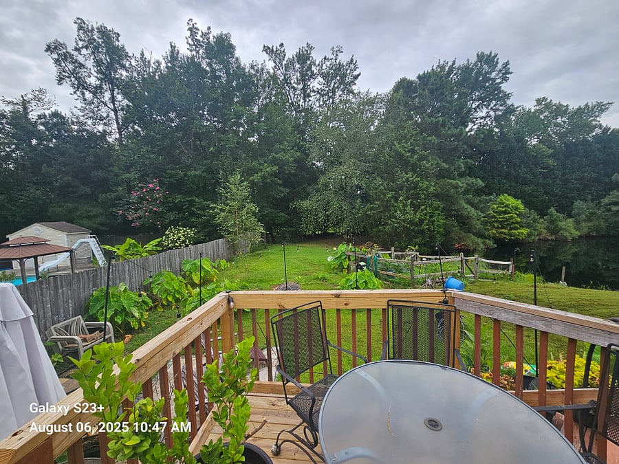 Furnished Finder property 867340_2 photo 12