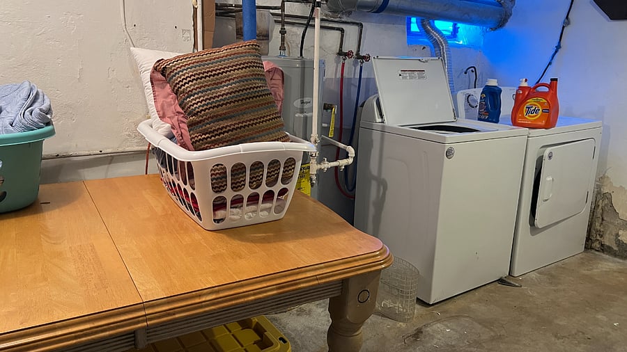 Shared laundry in basement.
