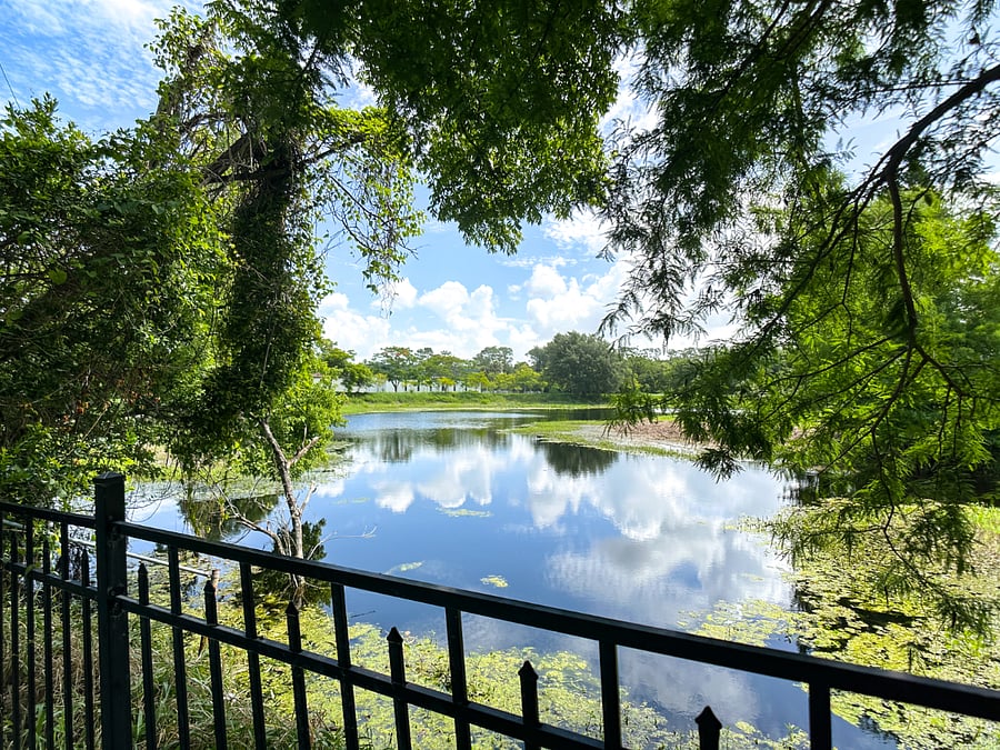 Furnished Finder property 867429_1 photo 37