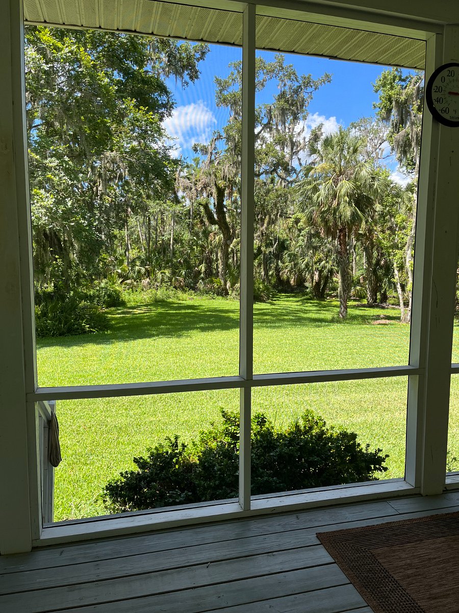 The view from the screen porch