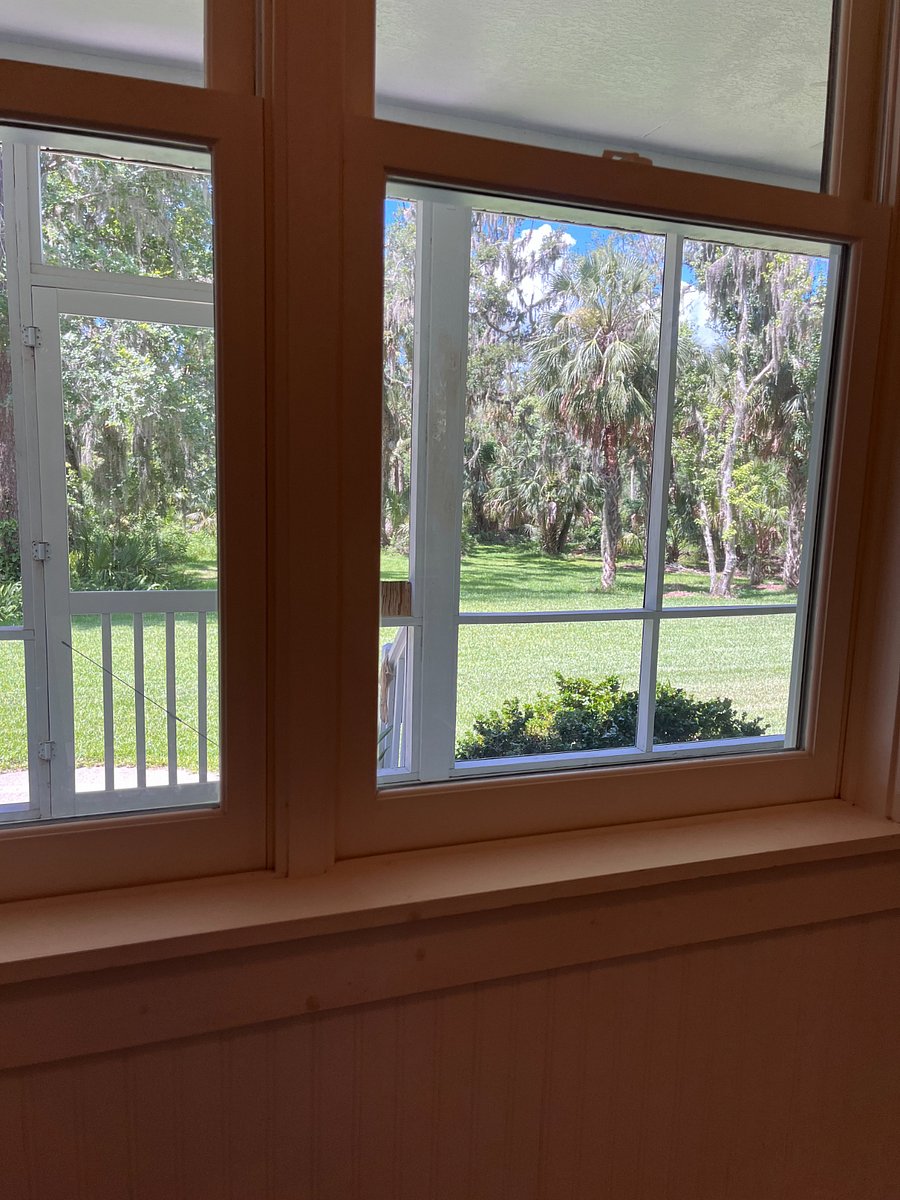 View from the kitchen window