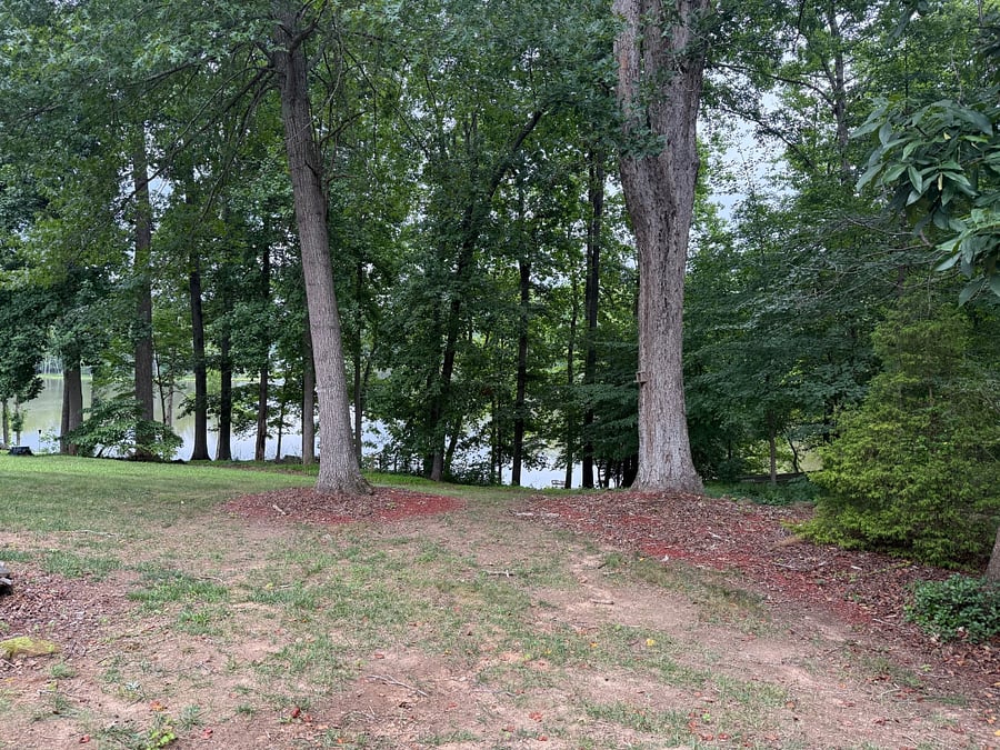 Furnished Finder property 867468_1 photo 16