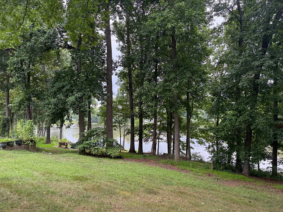 Furnished Finder property 867468_1 photo 17