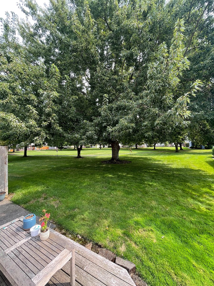 Furnished Finder property 867578_1 photo 4