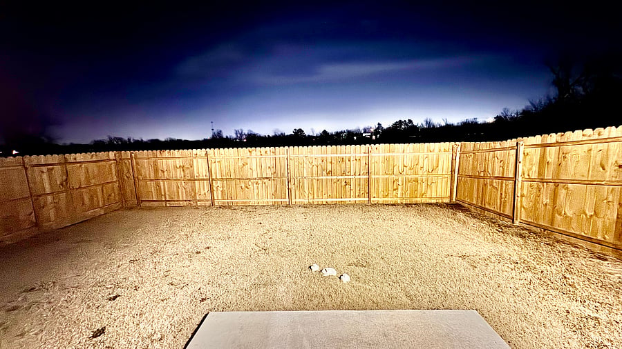 Backyard. Green grass in most months. This is a winter photo.